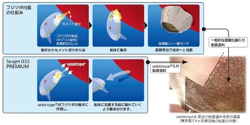 中国塗料 船底塗料 シージェット033 プレミアム 2L [] - 1,296円